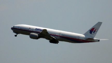 Un avion de la Malaysia Airlines aux Pays-Bas.&nbsp; (FRED NEELEMAN / AFP)