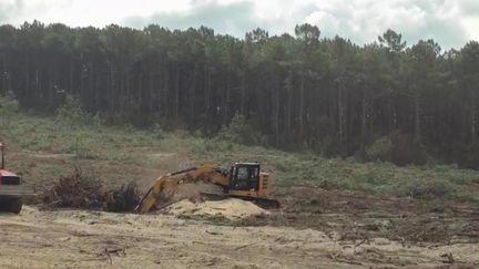 Pour lutter contre les incendies, les pompiers utilisent la technique du "brûlage tactique". Des travaux de déforestation sont également réalisés. Des envoyés spéciaux de France Télévisions ont pu assister à l’installation d’un de ces pares-feux à la frontière entre la Gironde et les Landes.