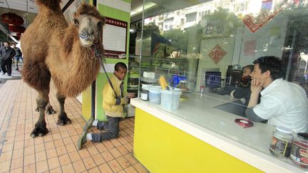 Un homme fait la manche avec un chameau devant un magasin de Shaoxing (Chine), le 25 novembre 2013. (REUTERS)