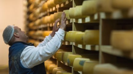 Un employ&eacute; d'une cave d'affinage de comt&eacute; &agrave; Montmorot (Jura), en mars 2015. (SEBASTIEN BOZON / AFP)