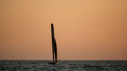 Le skipper Jérémie Beyou dans la course du Vendée Globe, le 17 novembre 2020 (illustration). (OLIVIER BLANCHET / ALEA)