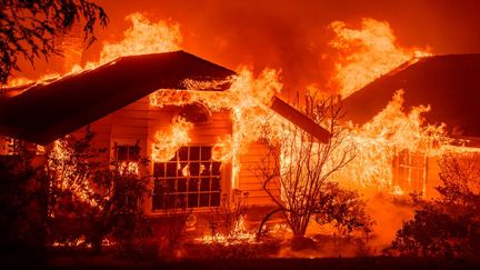 Des maisons en proie aux flammes du "Eaton Fire", à Altadena, le 8 janvier 2025. Le "Eaton Fire" s'est également déclaré mardi près de Los Angeles, et a brûlé plus de 900 hectares selon les autorités. (JOSH EDELSON / AFP)