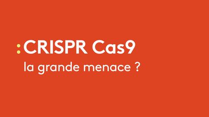 CRISPR Cas9 "le couteau suisse de la génétique" pourrait bien aider à guérir de nombreuses maladies. Mais pourquoi les services de sécurité s'inquiètent-ils ? Une enquête de franceinfo publiée le 28 janvier 2017. (RADIO FRANCE)