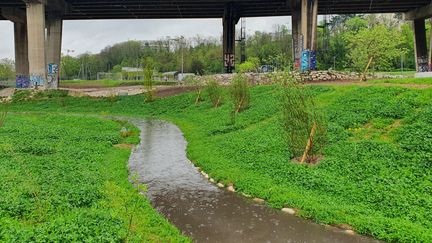 Une portion de la Bièvre a été rouverte entre Arcueil et Gentilly, le 13 avril 2022 (BORIS HALLIER / RADIO FRANCE)