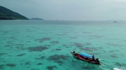 Thaïlande : les couleurs paradisiaques de Koh Lipe (FRANCE 2)