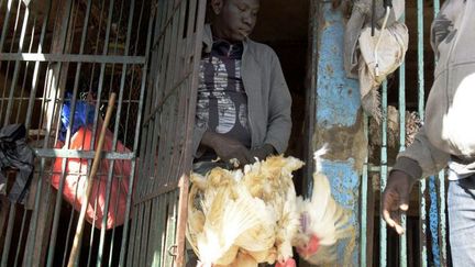 Vendeur de poulets sur un marché de Dakar le 4 mai 2018 (SEYLLOU / AFP)