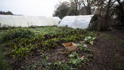 Une partie du potager de la ferme&nbsp;de Keruzerh (Morbihan), un des éco-lieux en France.&nbsp; (FRANCOIS LEPAGE / HANS LUCAS via AFP)