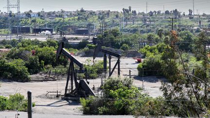 Des puits de pétrole, le 6 février 2020, à Los Angeles, aux Etats-Unis.&nbsp; (FPA / FULL PICTURE AGENCY / AFP)