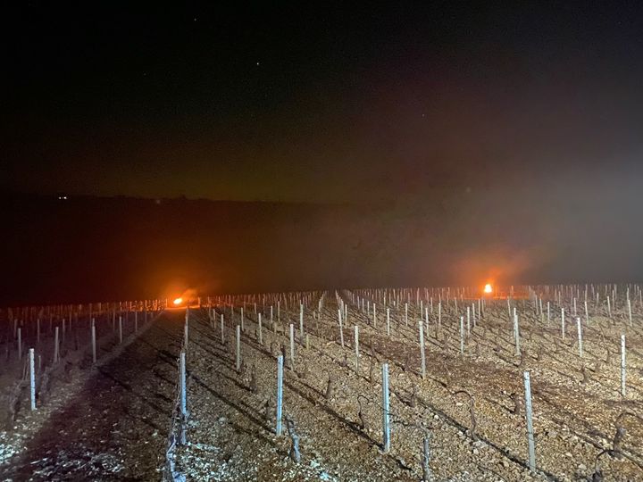 Le feu allumé dans les vignes pour les protéger du gel. (BORIS LOUMAGNE / RADIO FRANCE)