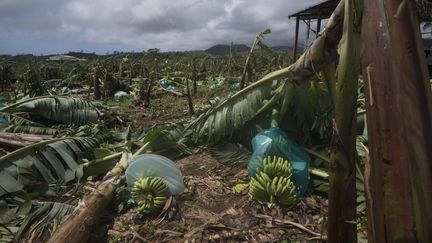 &nbsp; (HELENE VALENZUELA / AFP)