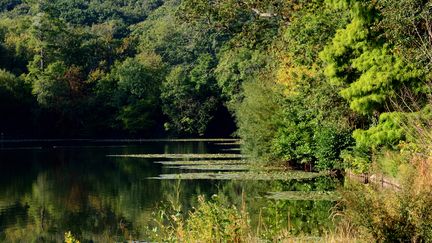 Etang à Ville-d'Avray.&nbsp; (ANTOINE LORGNIER / ONLY FRANCE)