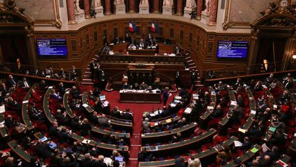 L'hémicycle du Sénat, le 10 novembre 2021, à Paris. (QUENTIN DE GROEVE / HANS LUCAS / AFP)