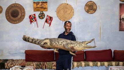 Mamdouh Hassan, un habitant, porte dans ses bras Franco, un animal empaillé, mort un mois auparavant. Il explique que les habitants de Gharb Soheil sont fiers de faire perdurer la technique d’empaillage des crocodiles domestiqués. L'opération prend entre deux jours et un mois, selon la taille et l'âge de l'animal.&nbsp; &nbsp; (KHALED DESOUKI/AFP)