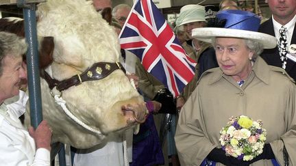 Comme tout chef d'&eacute;tat, la reine multiplie les d&eacute;placement et se doit de saluer tous ses sujets, m&ecirc;me les plus insolites. (AFP)