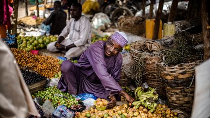 En 2019 au Niger, sans une aide extérieure conséquente pendant la saison de soudure (période qui sépare la fin de la consommation de la récolte de l'année précédente et l'épuisement des réserves des greniers, de la récolte suivante), le nombre de personnes en situation d’insécurité alimentaire grave pourrait doubler, passant de 604.000 à 1,2 million. Il est essentiel de constituer des stocks alimentaires et de rétablir la production fourragère afin d’améliorer les moyens d’existence des personnes vulnérables et leur résistance aux chocs, déclare la FAO. (LUIS TATO/FAO/AFP)