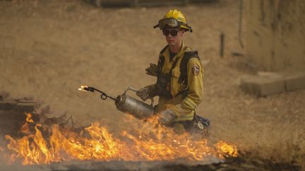 Un pompier installe un contre feu pr&egrave;s de San Andreas, en Californie, le 13 septembre 2015. (DAVID MCNEW / GETTY IMAGES NORTH AMERICA)