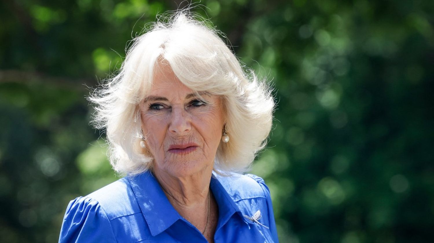 Queen Camilla cancels public appearances due to lung infection