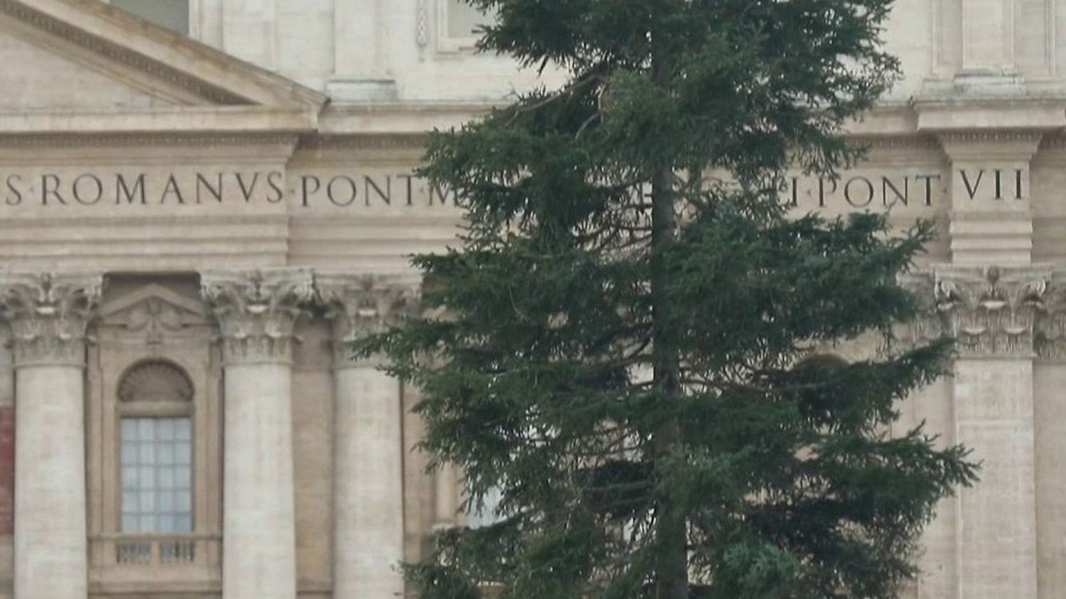 Wanneer de dennenboom ruzie veroorzaakt in het Vaticaan