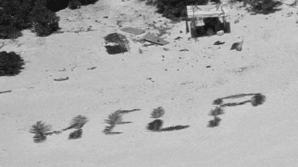 Pacifique : trois marins naufragés sur une île déserte sauvés grâce au mot "Help" dessiné sur la plage (France 2)