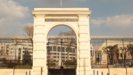 L'École nationale vétérinaire d'Alfort (Enva), située à Maisons-Alfort, dans le Val-de-Marne. (CAPTURE D'ECRAN GOOGLE MAPS)