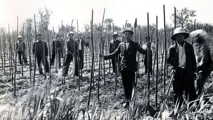 qui ne redistribue aucun salaire aux ouvriers.  (Archives départementale de l’Hérault)