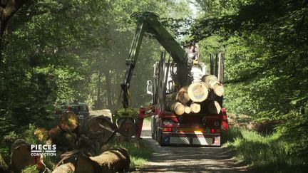 Pièces à conviction. Les chênes des forêts françaises s'exportent en Chine... au détriment des scieries locales