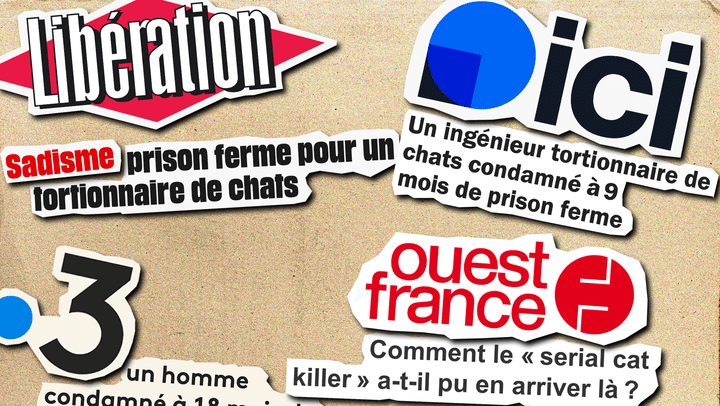 Les titres de plusieurs articles suite à la condamnation de Patrick à 18 mois de prison, dont 9 ferme. (RAPHAEL CANNESANT / RADIO FRANCE)