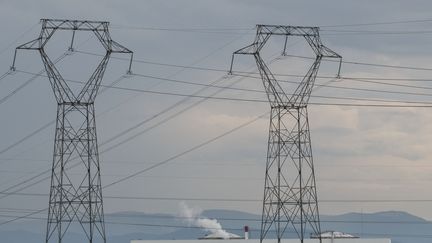 Le scénario de coupures d'électricité momentanées et tournantes est prévu par le gestionnaire du réseau RTE. (SEBASTIEN BOZON / AFP)