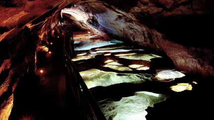 La grotte de la Cocalière, dans les Cévennes, ici photographiée en 2015. (ALEX BAILLAUD / MAXPPP)