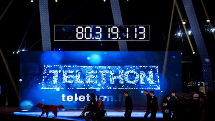 La photo prise le&nbsp;4 décembre 2016 montre les invités, lors de la soirée du Téléthon français 2016, à l'hippodrome de Longchamp à Paris.&nbsp;   (PHILIPPE LOPEZ / AFP)