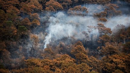 Une vue aérienne de l'incendie de La Teste-de-Buch (Gironde), le 29 juillet 2022. (THIBAUD MORITZ / AFP)