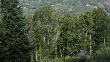 Ban-sur-Meurthe-Clefcy, dans les Vosges, le 18 août 2020. (JEAN-CHRISTOPHE VERHAEGEN / AFP)