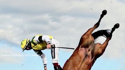 Photo Hebdo : hommage au prince Philip, pluie de cendres et jockey catapulté