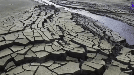 En Espagne, la Catalogne est touchée par la sécheresse et souffre de l'absence de pluie. Pour y remédier, elle pourrait s'appuyer sur une méthode qui transforme l'eau de mer en eau potable. (FRANCEINFO)