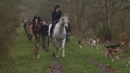 Chasse : des mesures de sécurité pour limiter les accidents (France 3)