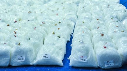 Des tonnes de méthamphétamine à Jakarta (Indonésie), le 20 février 2018.&nbsp; (ANTON RAHARJO / ANADOLU AGENCY / AFP)