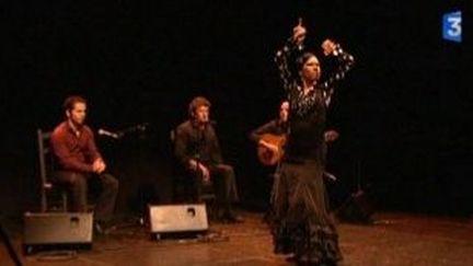 Le Flamenco danse à Châteauneuf
 (Culturebox)