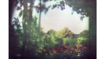 Giverny, juin 2011
 (Bernard Plossu)