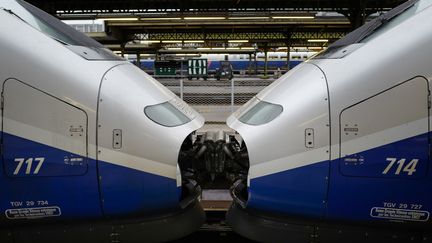 Gare de Lyon, à Paris, le 15 février 2018.&nbsp;Les organisations syndicales&nbsp;divergent sur la suite à donner au mouvement&nbsp;des cheminots, qui doit s'achever le 28 juin (LUDOVIC MARIN / AFP)