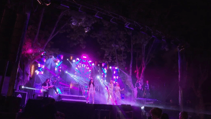 Animations d'été : de village en village, la troupe Cocktail de nuit fait danser les soirées