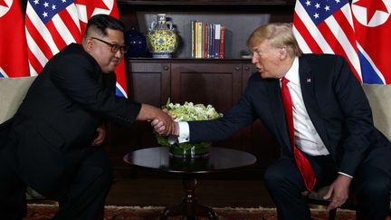 Kim Jong-un et Donald Trump échangent une poignée de main, sur l'île de Sentosa à Singapour, le 12 juin 2018.&nbsp; (EVAN VUCCI / SIPA)