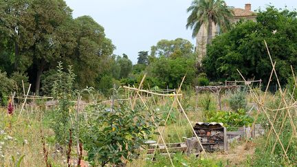 La ferme collaborative est installée sur une parcelle de 8000 mètres carrés, accordée par le Château de Flaugergues.&nbsp; (ISABELLE MORAND / DIDIER HIRSCH / RADIO FRANCE / FRANCE INFO)