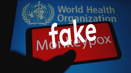 Fake news is circulating about monkeypox (illustrative photo). (SOPA IMAGES / VIA GETTY)