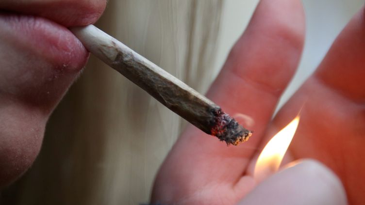 Le Mans Un Bebe Avale Une Boulette De Cannabis Les Parents Convoques Au Tribunal