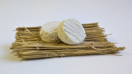 La société Mounier, basée à Quézac (Lozère), a rappelé des fromages après la découverte d'une vingtaine de cas de salmonellose. (YANN CASTANIER / HANS LUCAS / AFP)