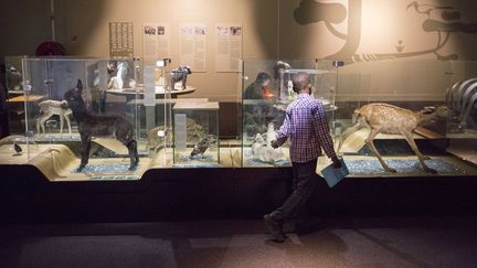 Les "Bébés animaux" sont à la Cité des Sciences et de l'Industrie à Paris
 (G. Leimdorfer)