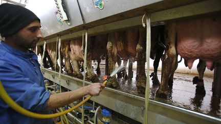 pour ne plus avoir à payer une seule facture d'électricité pour son entreprise. Car celle-ci fournit en lait, yaourts et autres produits laitiers l'ensemble de la Cisjordanie, mais aussi des clients à Jérusalem. Et leur surplus est racheté par la Compagnie locale d'électricité. (Hazem Bader/AFP)