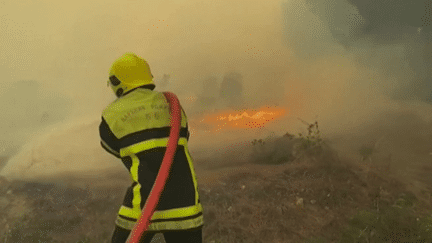 Incendies dans les Pyrénées-Orientales : une enquête a été ouverte pour déterminer les causes des feux (France 3)