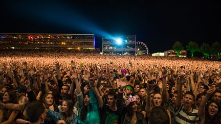 Foule de spectateurs assistant à un concert live au Paleo Festival de Nyon en Suisse, 2014. (LIONEL FLUSIN / GAMMA-RAPHO)