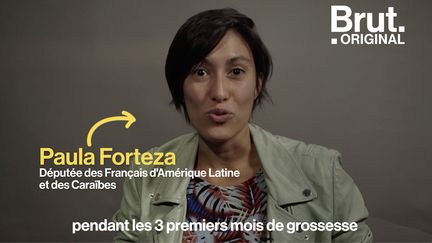 VIDEO. Grossesse : "Ce silence imposé des trois mois est un non-sens absolu", déplore la députée Paula Forteza (BRUT)